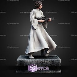 Leia Organa and Gun 359mm STL Files