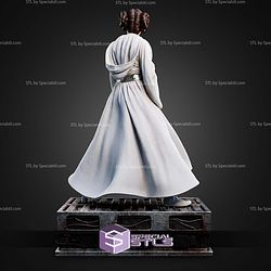 Leia Organa and Gun 359mm STL Files
