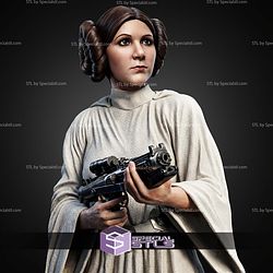 Leia Organa and Gun 359mm STL Files