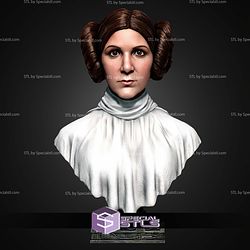 Leia Organa Portrait Bust 316mm STL Files