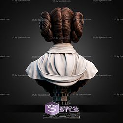Leia Organa Portrait Bust 316mm STL Files