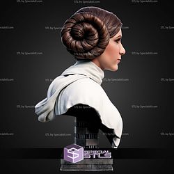Leia Organa Portrait Bust 316mm STL Files