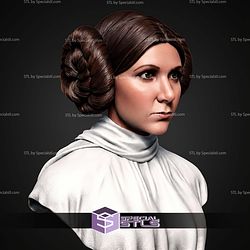 Leia Organa Portrait Bust 316mm STL Files