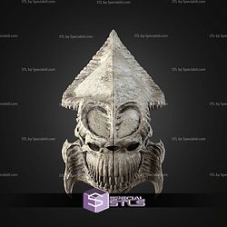 Life Size Acklay Skull Trophy STL Files