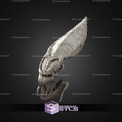 Life Size Acklay Skull Trophy STL Files