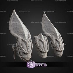 Life Size Acklay Skull Trophy STL Files