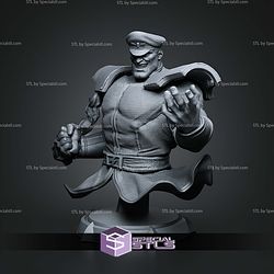 M Bison Purple Effect Bust 173mm STL Files