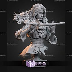 Maelle and Sword Bust STL Files