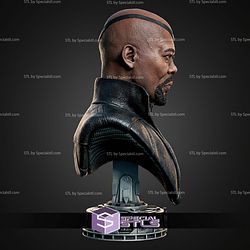 Nick Fury MCU Portrait Bust 138mm STL Files