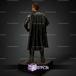 Robin Museum Pose from Batman and Robin STL Files