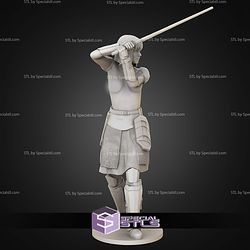 Shin Hati 1-10 and Saber NSFW STL Files