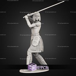 Shin Hati 1-10 and Saber NSFW STL Files