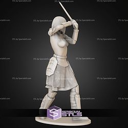 Shin Hati 1-10 and Saber NSFW STL Files