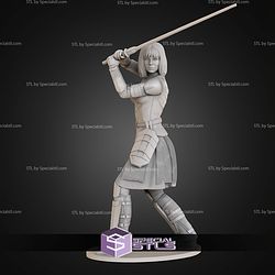 Shin Hati 1-10 and Saber STL Files
