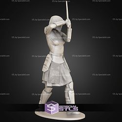 Shin Hati 1-10 and Saber STL Files