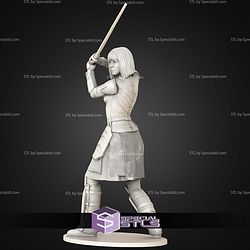 Shin Hati 1-10 and Saber STL Files