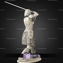 Shin Hati 1-10 and Saber STL Files