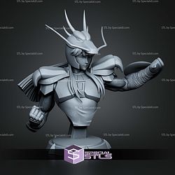 Shiryu Saint Seiya Bust 153mm STL Files