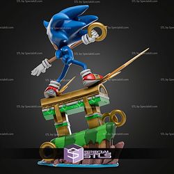 Sonic Game Scene 300mm STL Files