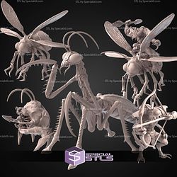 Spider Queen Set STL Files