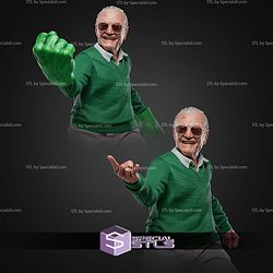 Stan Lee 355mm STL Files