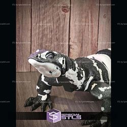 Super Basic STL Asian Water Monitor Articulated Lizard