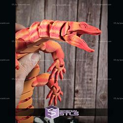 Super Basic STL Asian Water Monitor Articulated Lizard