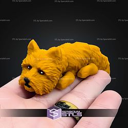 Super Basic STL Baby Flexi Dog V10