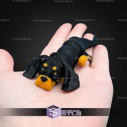 Super Basic STL Baby Flexi Dog V8