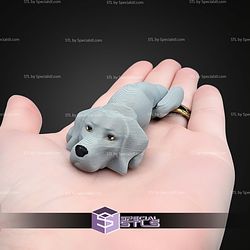 Super Basic STL Baby Flexi Dog V8