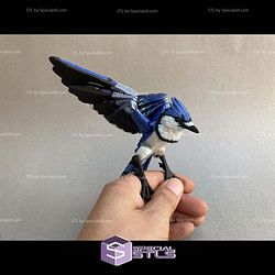 Super Basic STL Blue jay