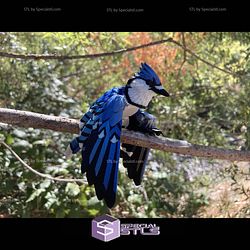 Super Basic STL Blue jay