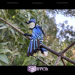 Super Basic STL Blue jay