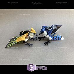 Super Basic STL Blue jay