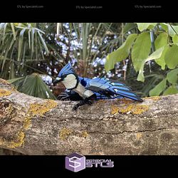 Super Basic STL Blue jay