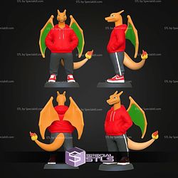 Super Basic STL Charizard Urban Vibes