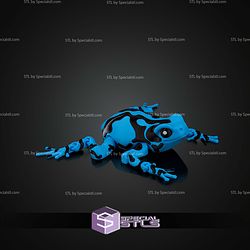 Super Basic STL Darcy the Poison Dart Frog