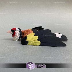 Super Basic STL Goldfinch