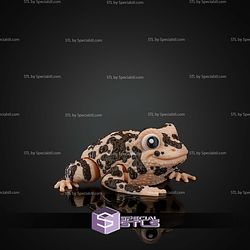 Super Basic STL Grace the American Ground Frog