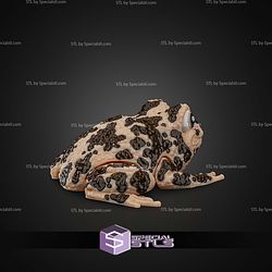 Super Basic STL Grace the American Ground Frog