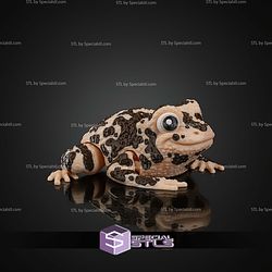 Super Basic STL Grace the American Ground Frog