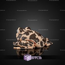 Super Basic STL Grace the American Ground Frog