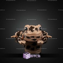 Super Basic STL Grace the American Ground Frog