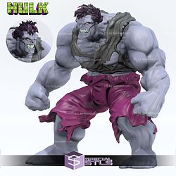 Super Basic STL Hulk Grey Animated 1996