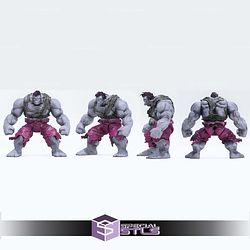 Super Basic STL Hulk Grey Animated 1996