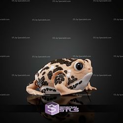 Super Basic STL Humphrey the Rain Frog