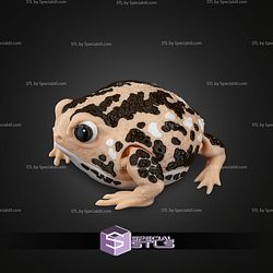 Super Basic STL Humphrey the Rain Frog