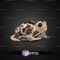 Super Basic STL Humphrey the Rain Frog