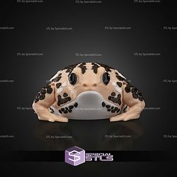 Super Basic STL Humphrey the Rain Frog