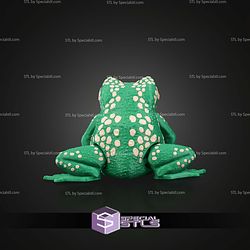 Super Basic STL Kate the Cane Toad